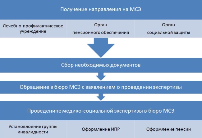 Сроки установления инвалидности схема